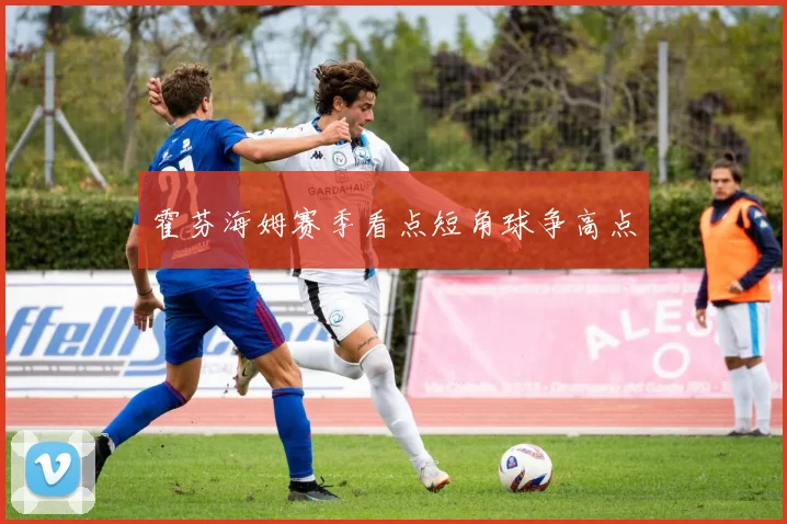 霍芬海姆赛季看点短角球争高点