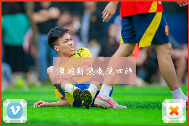 澳超新援表现回顾