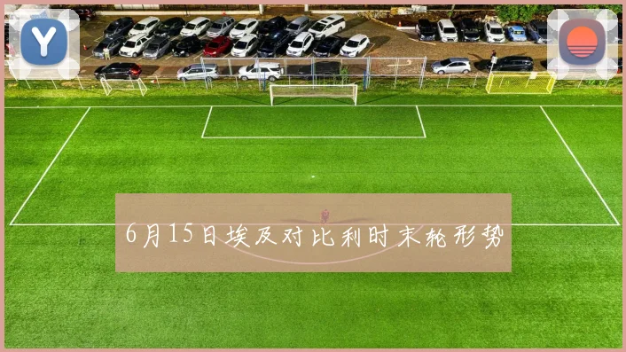 6月15日埃及对比利时末轮形势