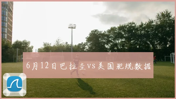 6月12日巴拉圭vs美国犯规数据