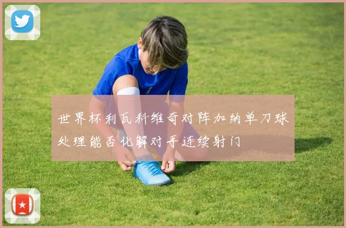 世界杯利瓦科维奇对阵加纳单刀球处理能否化解对手连续射门