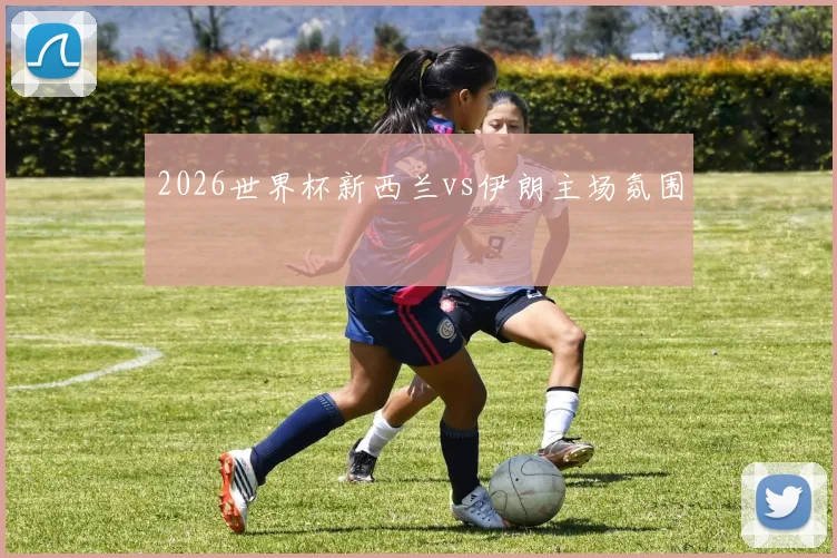 2026世界杯新西兰vs伊朗主场氛围